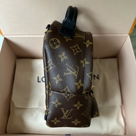Louis Vuitton Palm Springs Mini - Picture 7 of 9